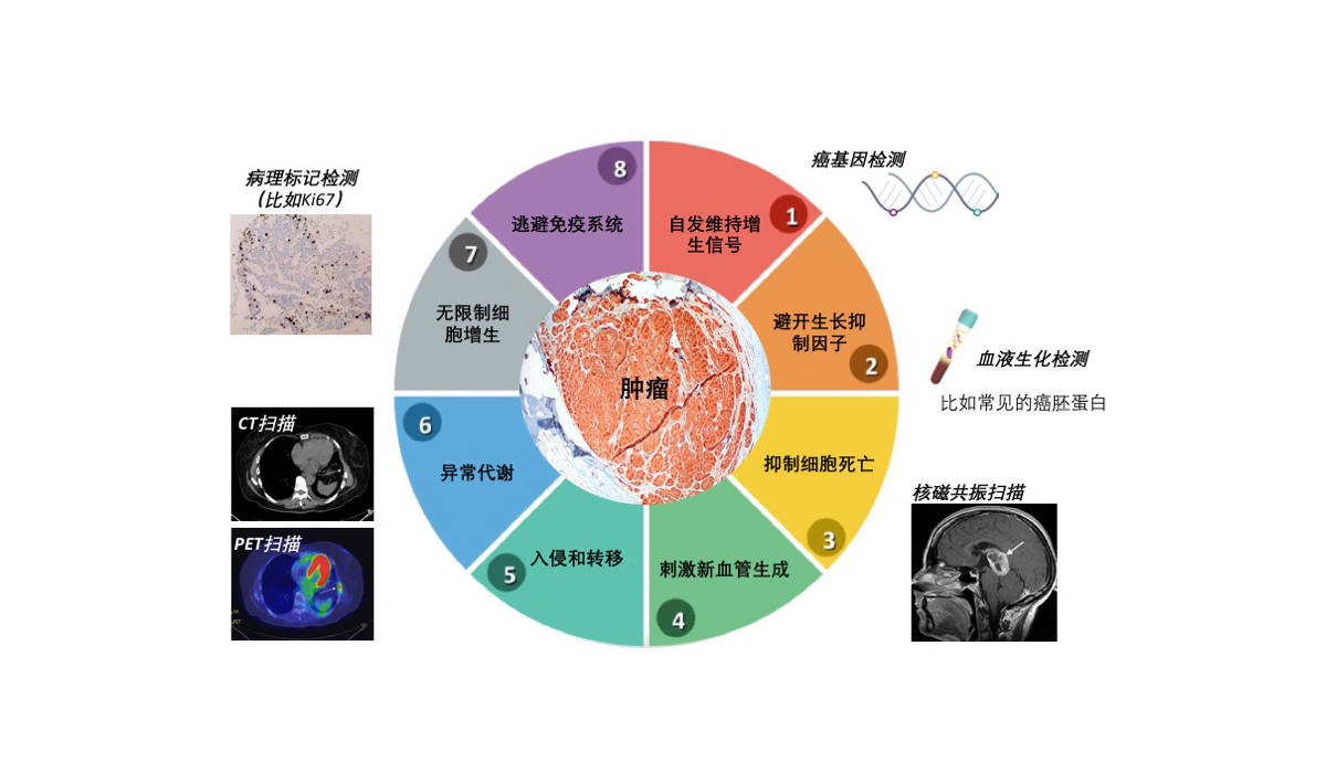 FDSF news and analysis articles 